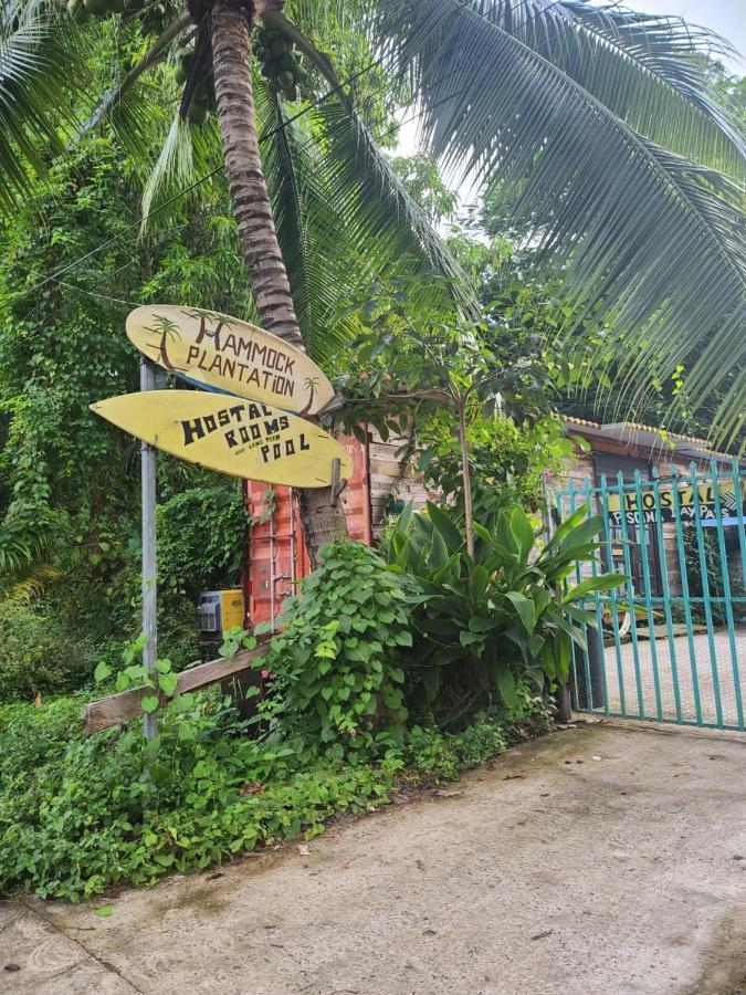 Hammock Plantation Hostel El Zonte Kültér fotó