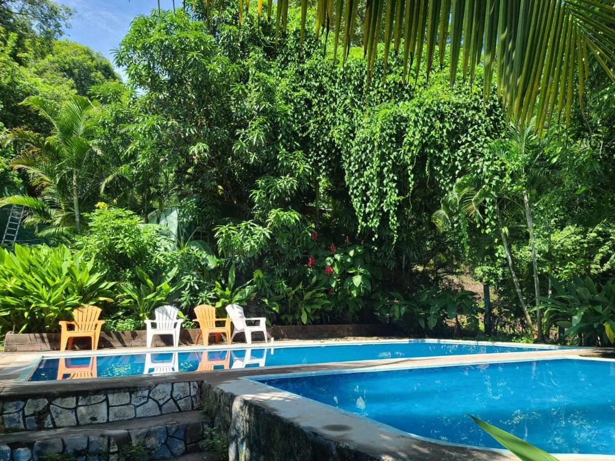 Hammock Plantation Hostel El Zonte Kültér fotó